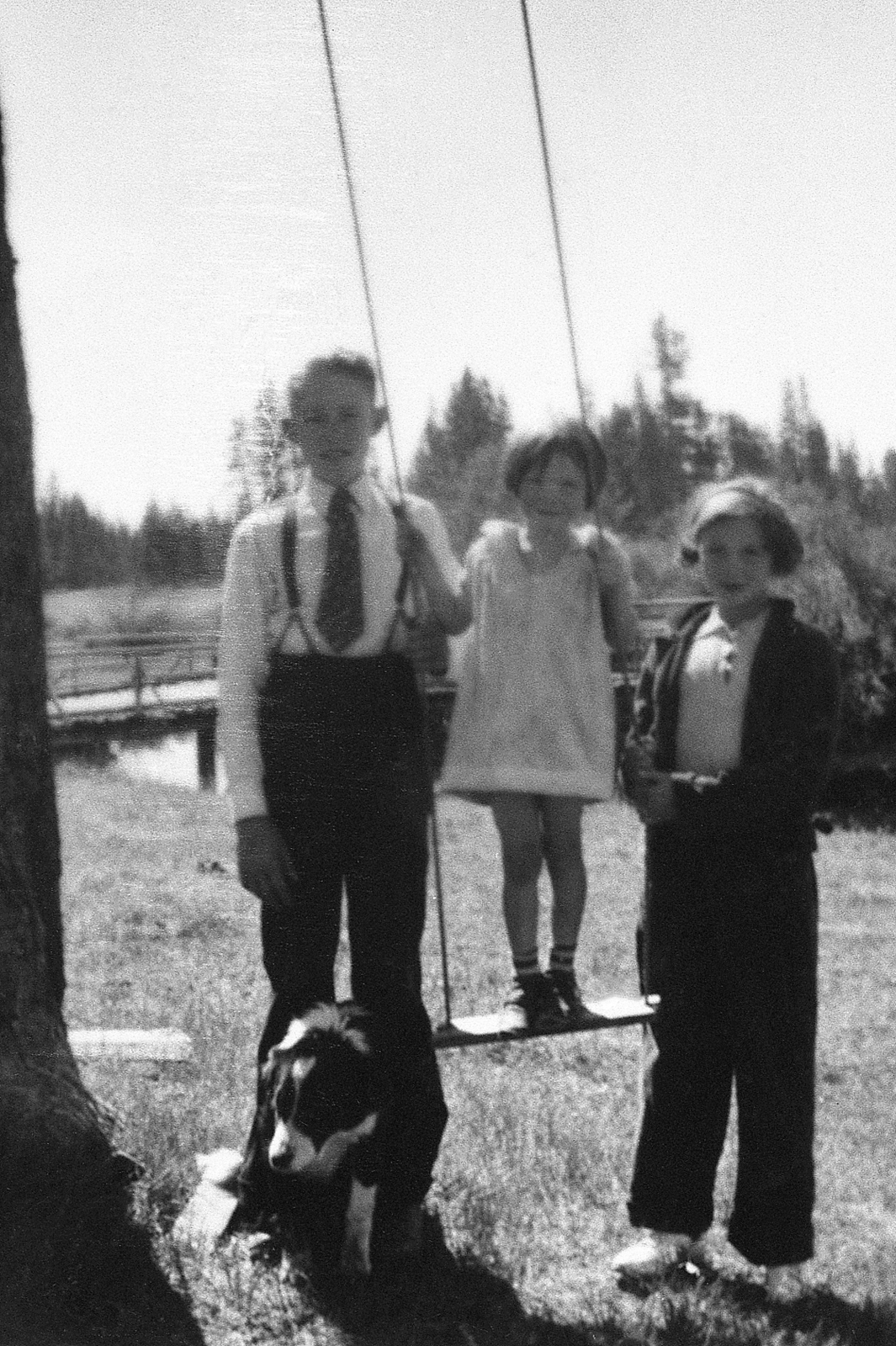 Children with swing hung from tree